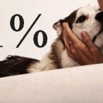 Psi grosz – czyli komu dać jeden procent